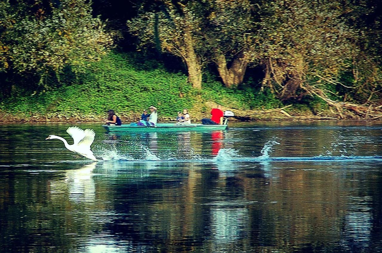 Zagreb, Kuca Za Odmor Swan River Holiday House Lasinja Екстер'єр фото