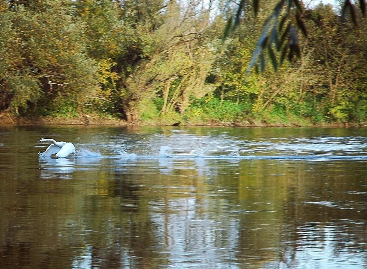 Zagreb, Kuca Za Odmor Swan River Holiday House Lasinja Екстер'єр фото
